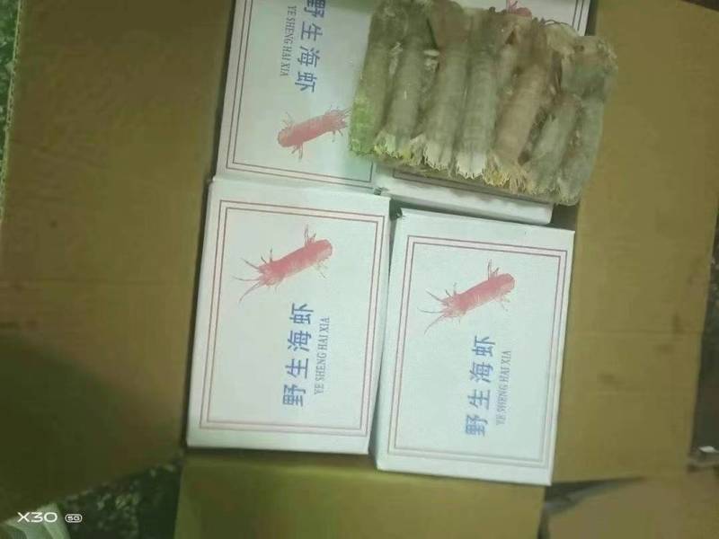 速冻皮皮虾低价甩卖处理