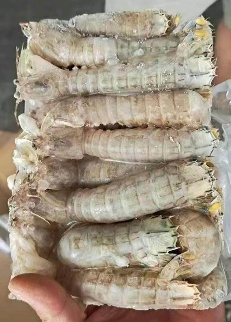 速冻皮皮虾低价甩卖处理