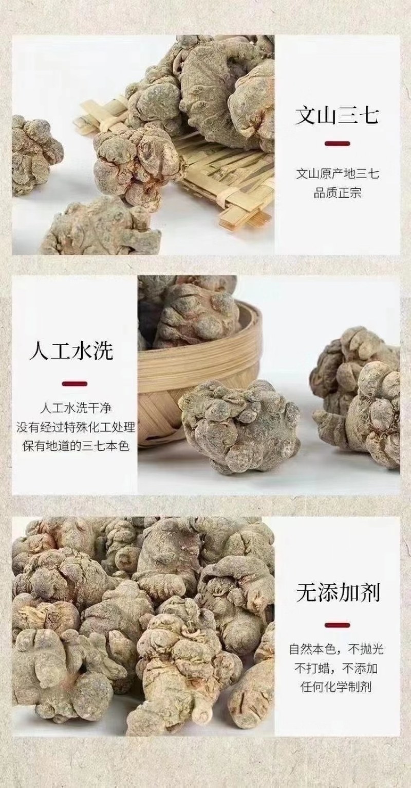 足头三七(打精细粉)自产自消