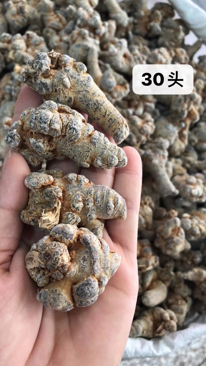 足头三七(打精细粉)自产自消