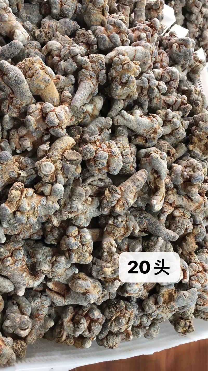 足头三七(打精细粉)自产自消