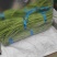 『精品』长豆角，70厘米以上可以视频看货，大量现货供应