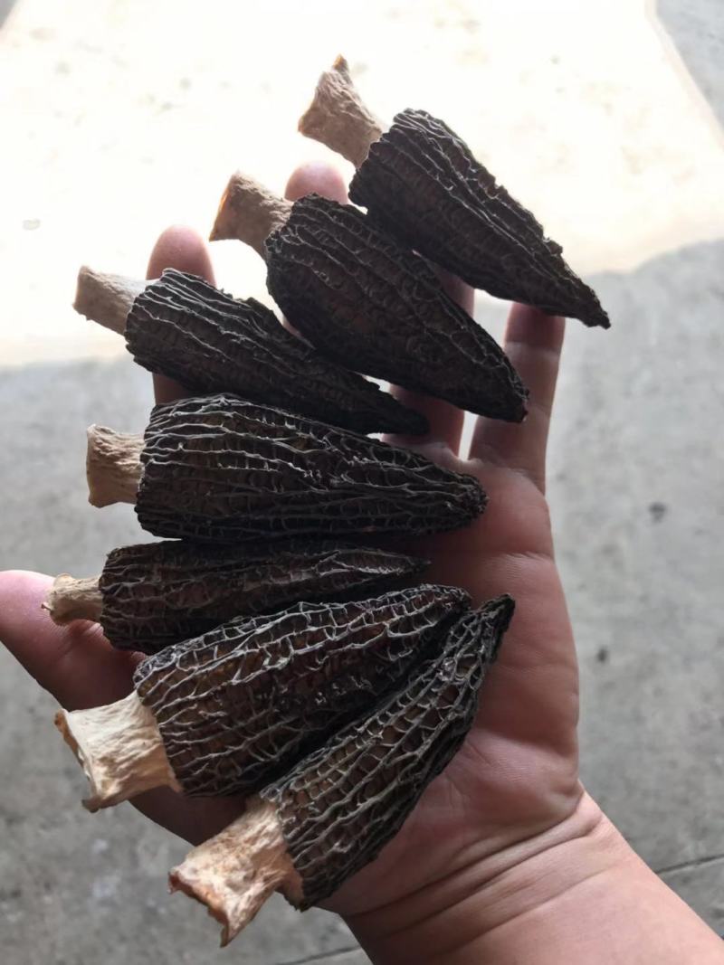 杨妹妹干货上市各种规格