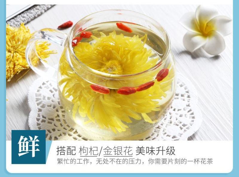 【一件代发】金丝皇菊一朵一杯大菊花特级黄菊花茶叶茶园