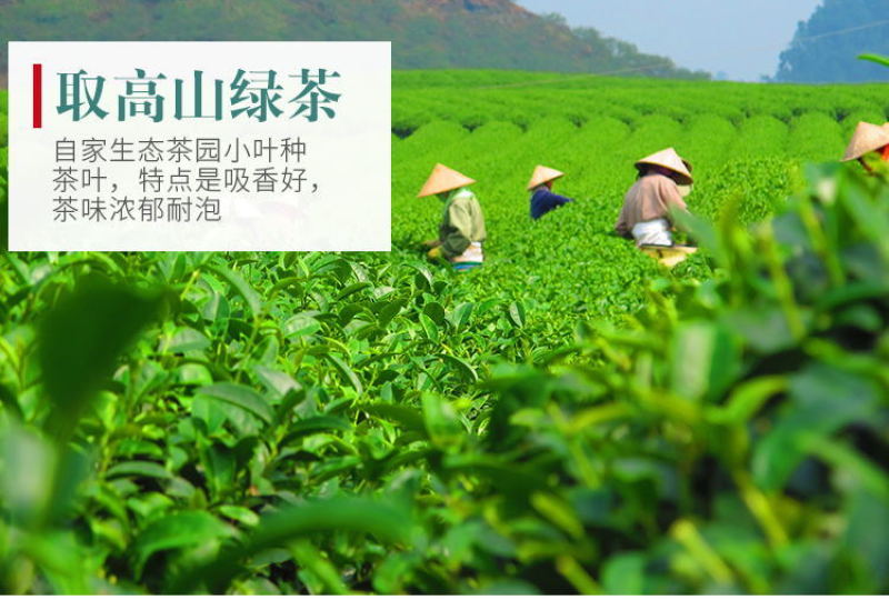 【一件代发】2022新茶茉莉花茶叶茉莉花茶多规格茶园