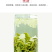 【一件代发】2022新茶茉莉花茶叶茉莉花茶多规格茶园