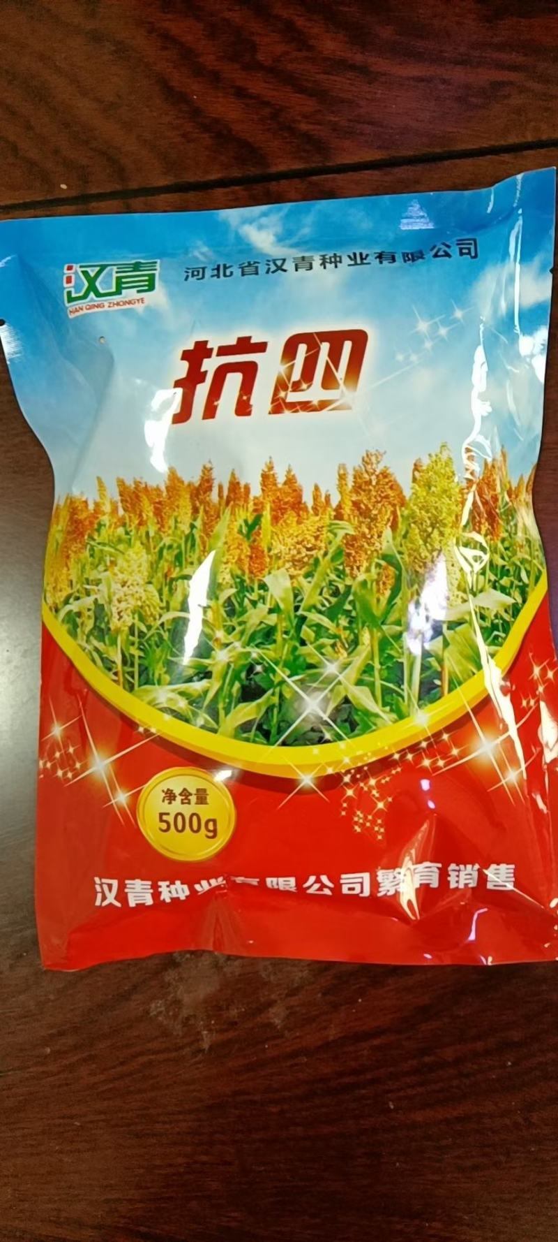 抗四高粱种籽-抗旱抗涝，抗盐碱，积温2650度