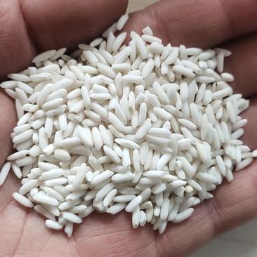 厂家批发大颗粒糯米籽粒爆满雪白雪白的糯米