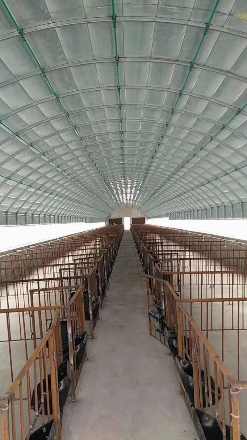 各种大棚管，免费设计，包括安装，希望新老顾客来合谈