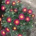 玛格丽特花木春菊带花和花苞发货精品货源基地