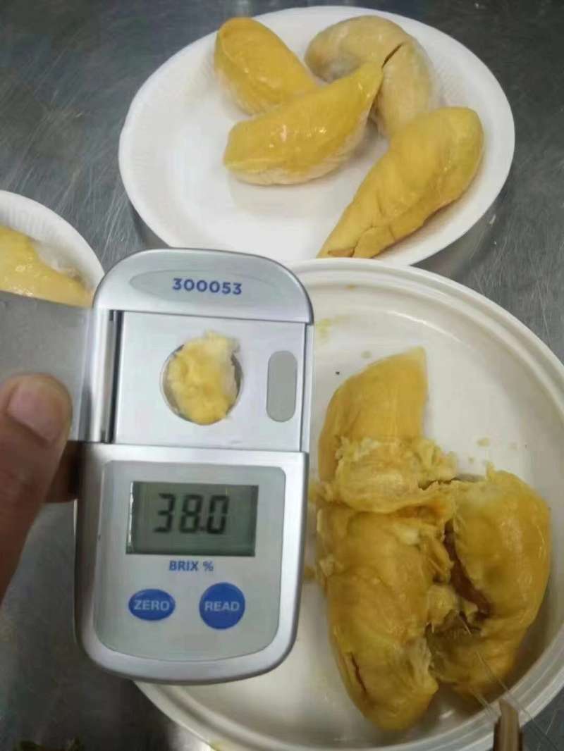 泰国进口金枕榴莲整个新鲜金枕单个装应季甲仑猫山
