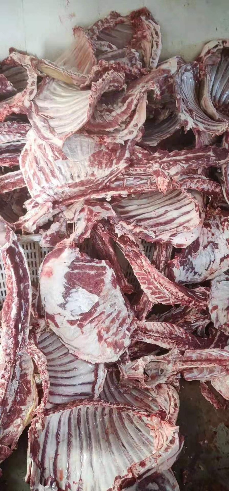 羊排羊光排羔羊排羊肋排带皮羊排