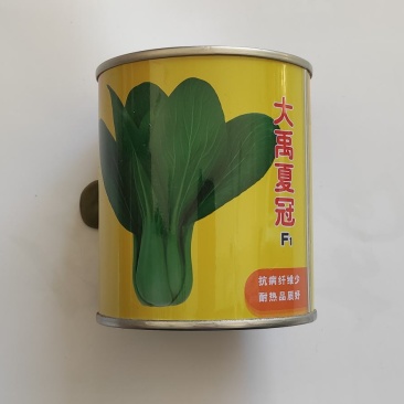青梗菜种子大禹夏冠耐热抗病丰产纤维少品质好株型美观