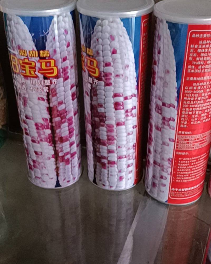 宝马玉米种子棒子大产量高排列整齐
