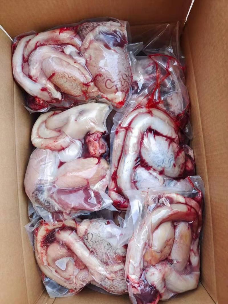 国产牛鞭宝，厂家直发，货源充足