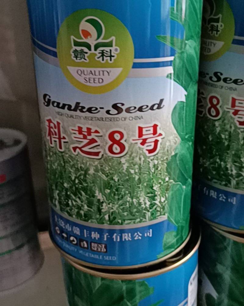 科芝8号赣科单杆三花四棱芝麻种子，江西本地品种