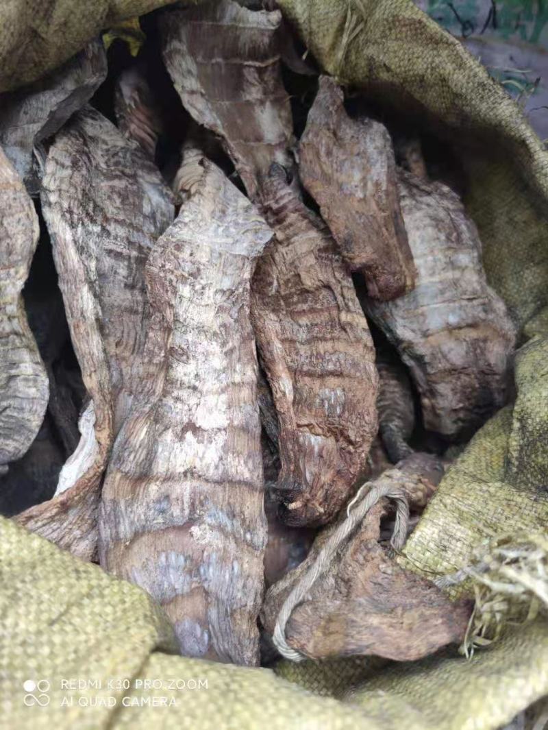 干竹笋楠竹笋烟熏笋干