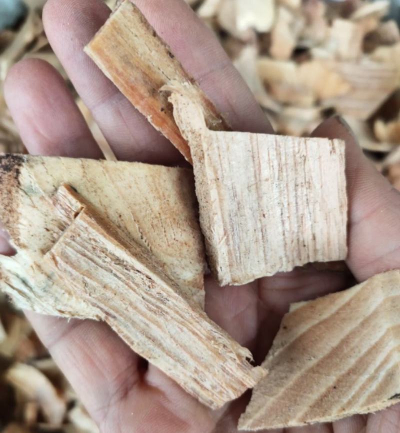 中药材批发零售油松节冷背奇品种齐全散