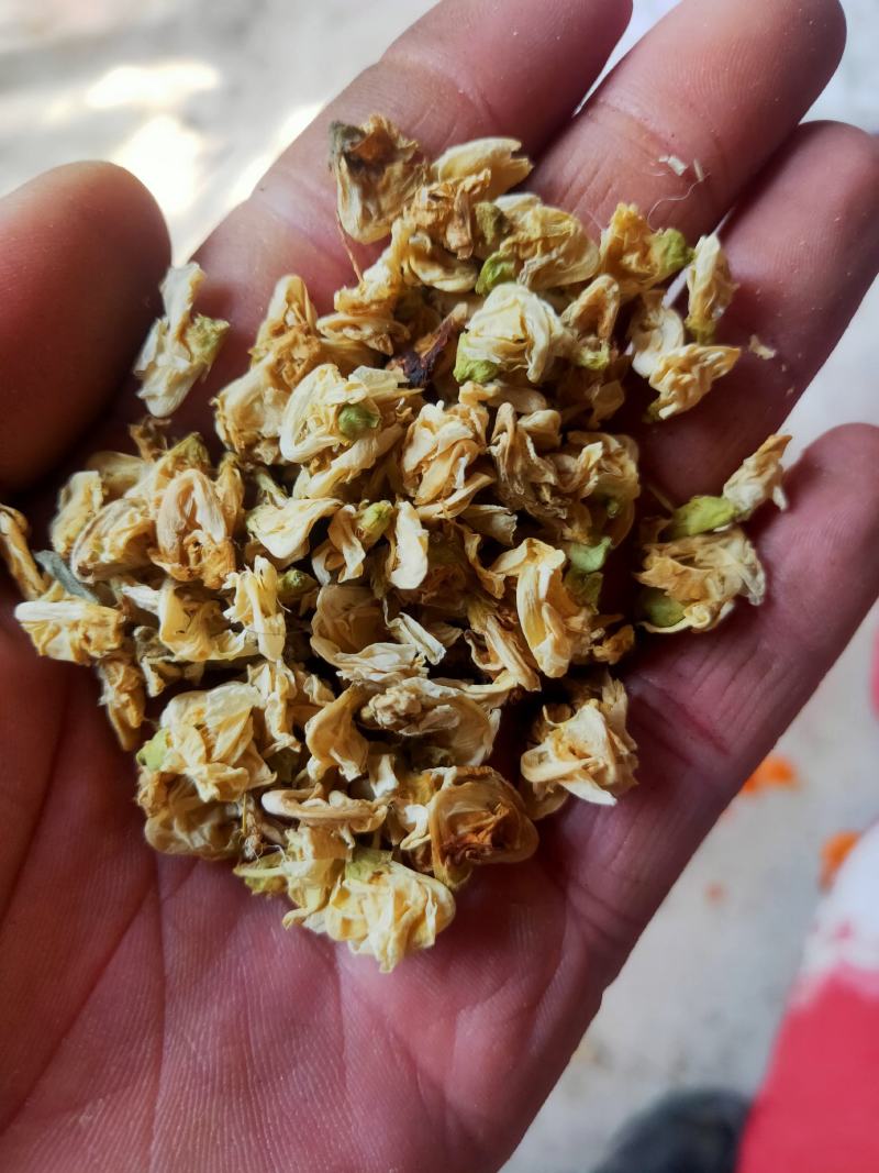 扁豆花产地山东货好量大一公斤起售不满意可以退换货