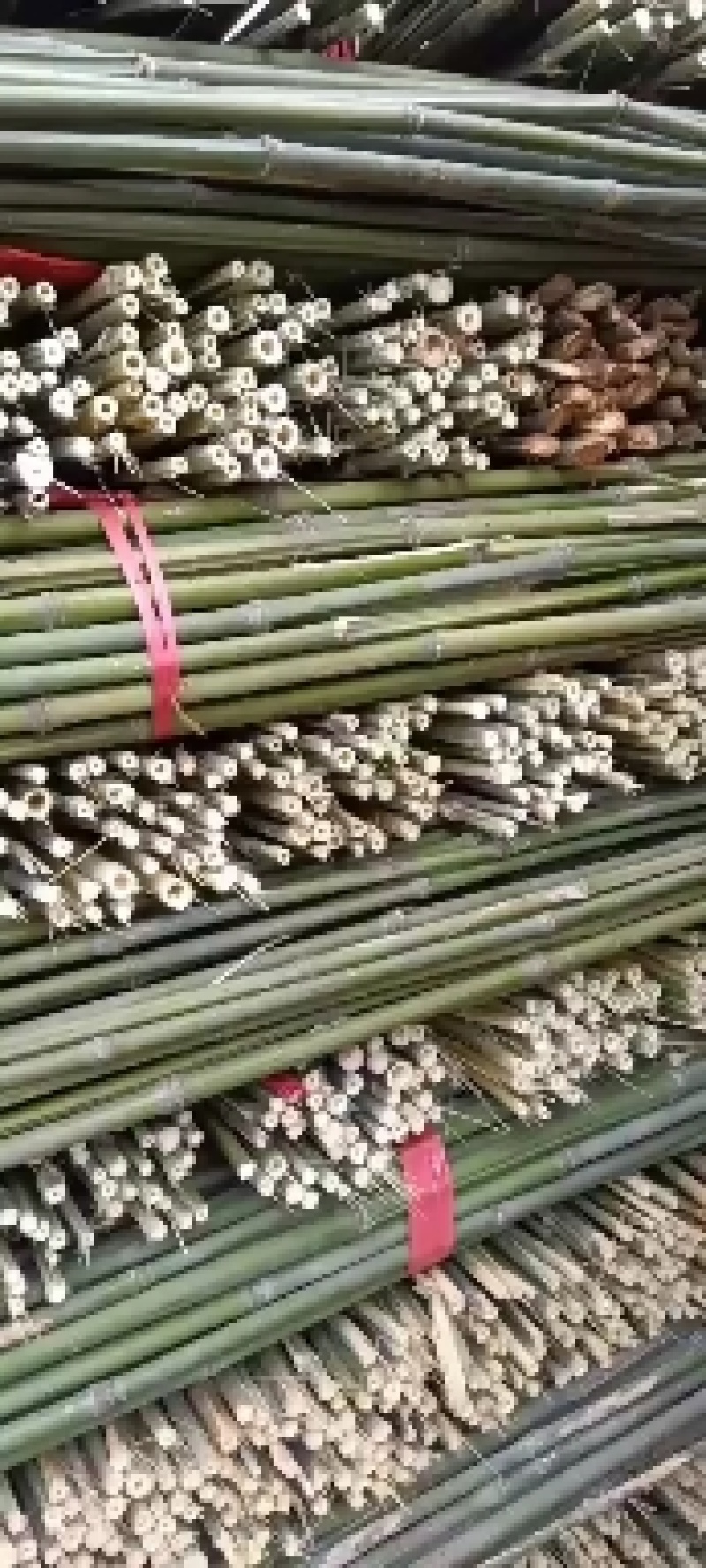 专业批发菜架竹，各种规格的订制竹竿，有需要的电话联系，，