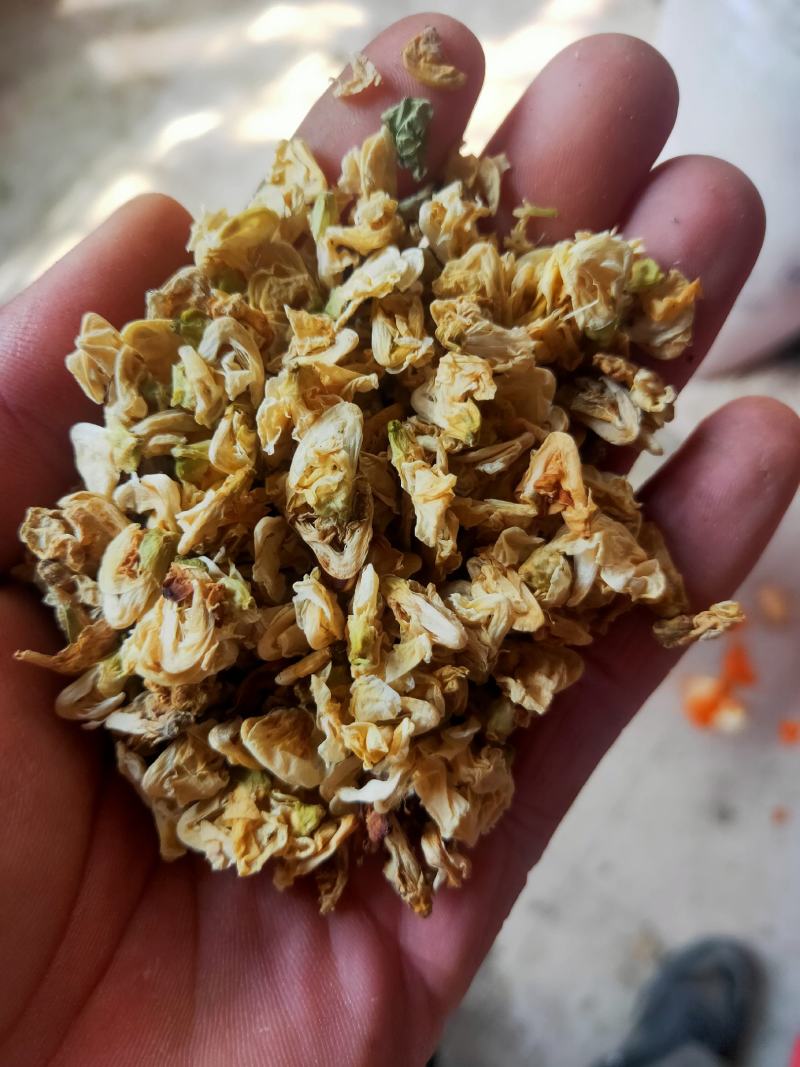 扁豆花产地山东货好量大一公斤起售不满意可以退换货