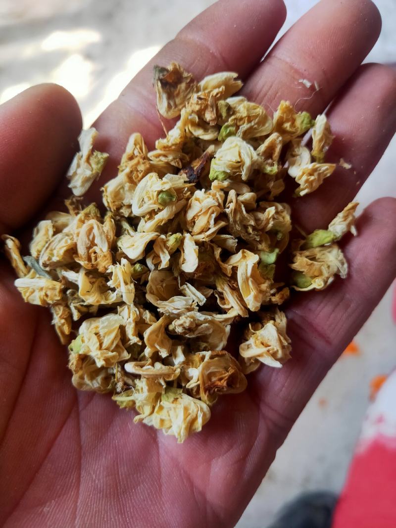 扁豆花产地山东货好量大一公斤起售不满意可以退换货
