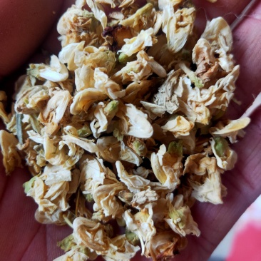 扁豆花产地山东货好量大一公斤起售不满意可以退换货