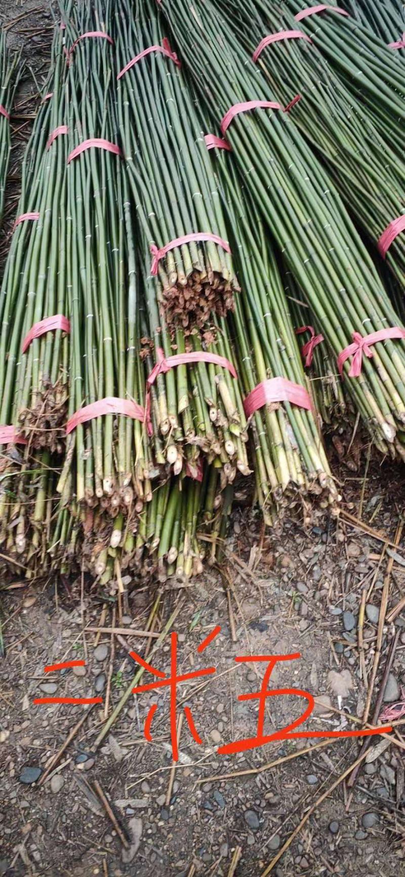 专业批发菜架竹，各种规格的订制竹竿，有需要的电话联系，，