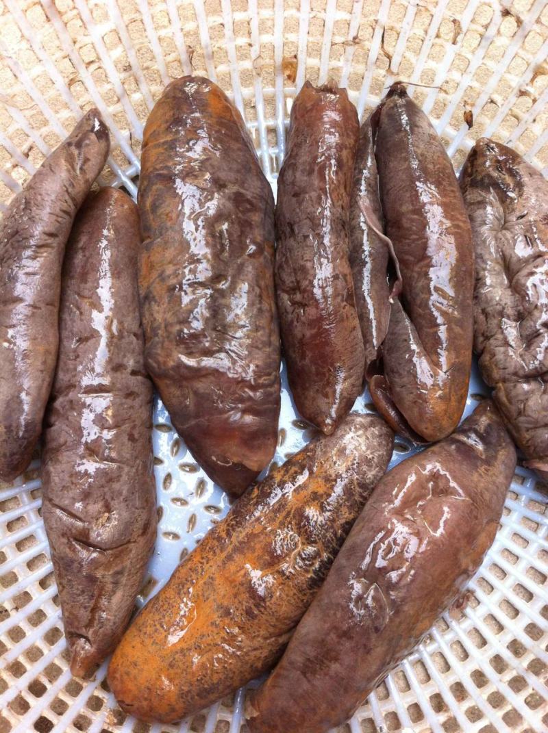 海茄参烤干无泥低盐高涨发个大肉厚