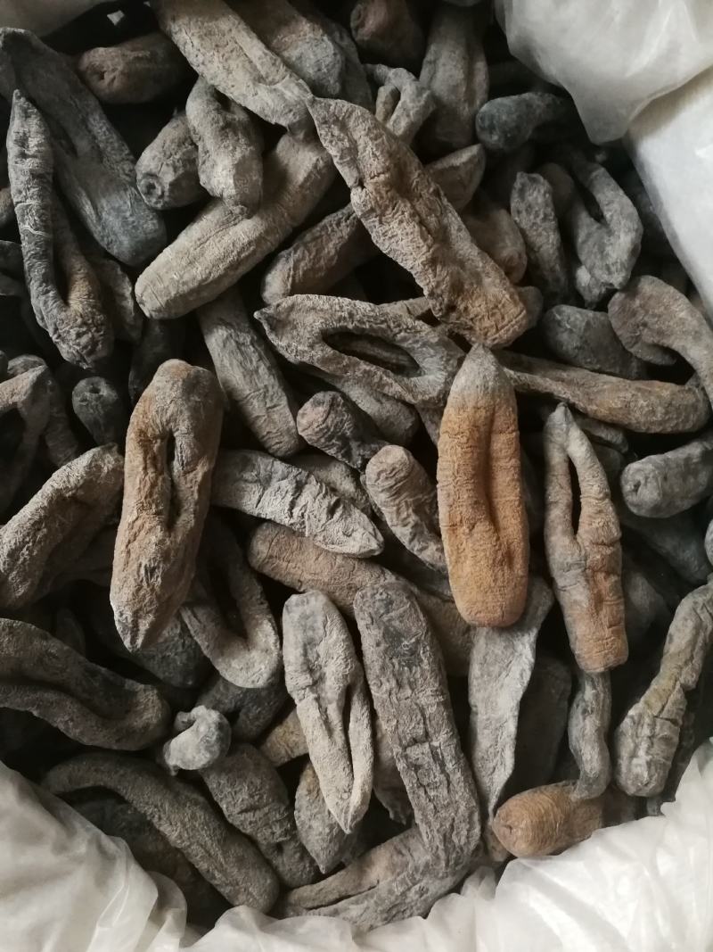 海茄参烤干无泥低盐高涨发个大肉厚