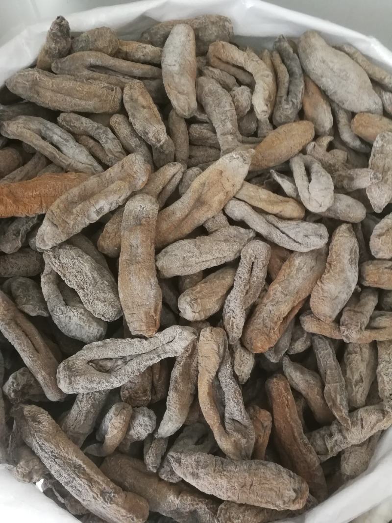 海茄参烤干无泥低盐高涨发个大肉厚