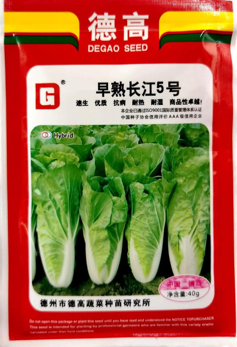 早熟长江5号快菜种子，速生，优质，抗病，购买请联系