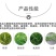 天邦鹏农50%乙草胺乳油冬油菜田芽前除草剂喷雾农药