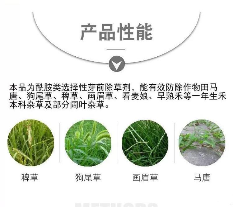 天邦鹏农50%乙草胺乳油冬油菜田芽前除草剂喷雾农药
