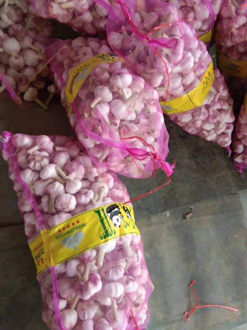 扒皮蒜~精品剥皮蒜，大量供应，产地直发，质量保证，代发全国
