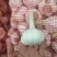 扒皮蒜~精品剥皮蒜，大量供应，产地直发，质量保证，代发全国
