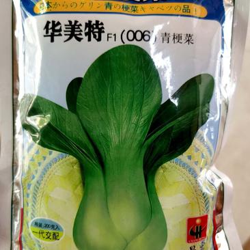 上海青菜种子，生长整齐，头大、束腰，品质特优，购买请联系