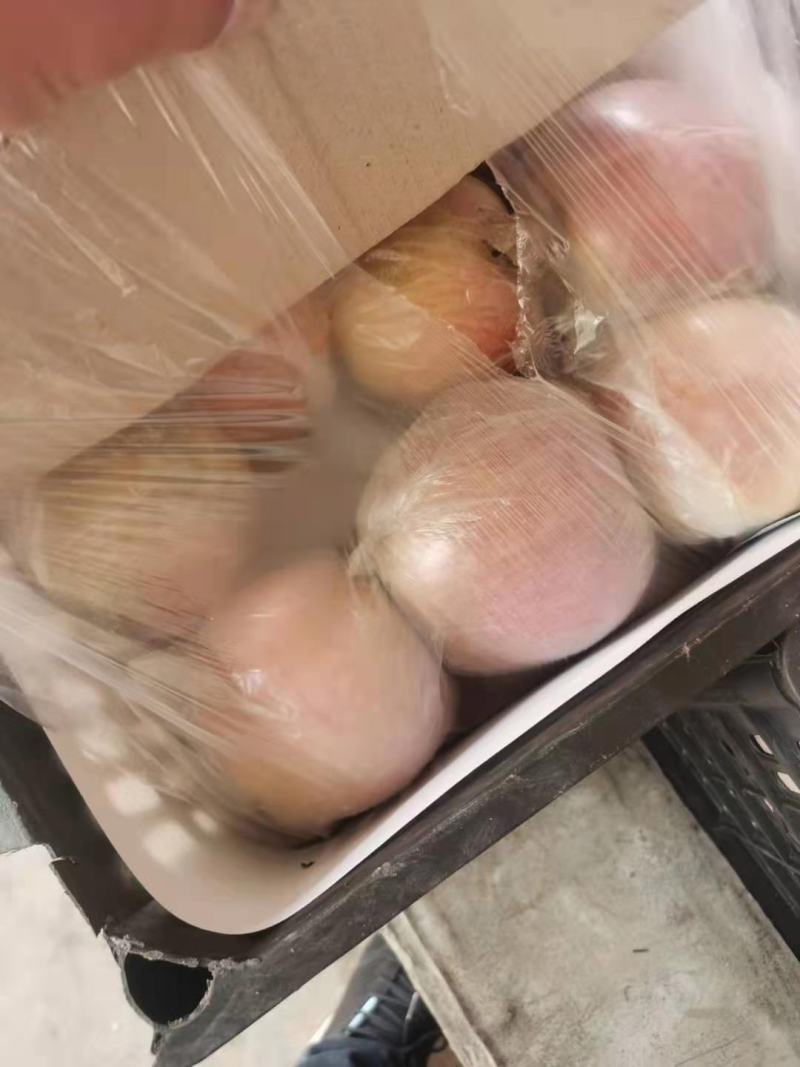 河南虞城富士苹果，口感賊甜，耐运输，欢迎新老客户前来选购