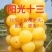 【热卖】正宗，阳光十三葡萄苗，基地直发，包品种包技术指导