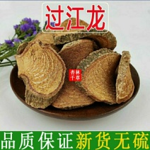 野生中药材过江龙过岗龙初级农产品散装包邮