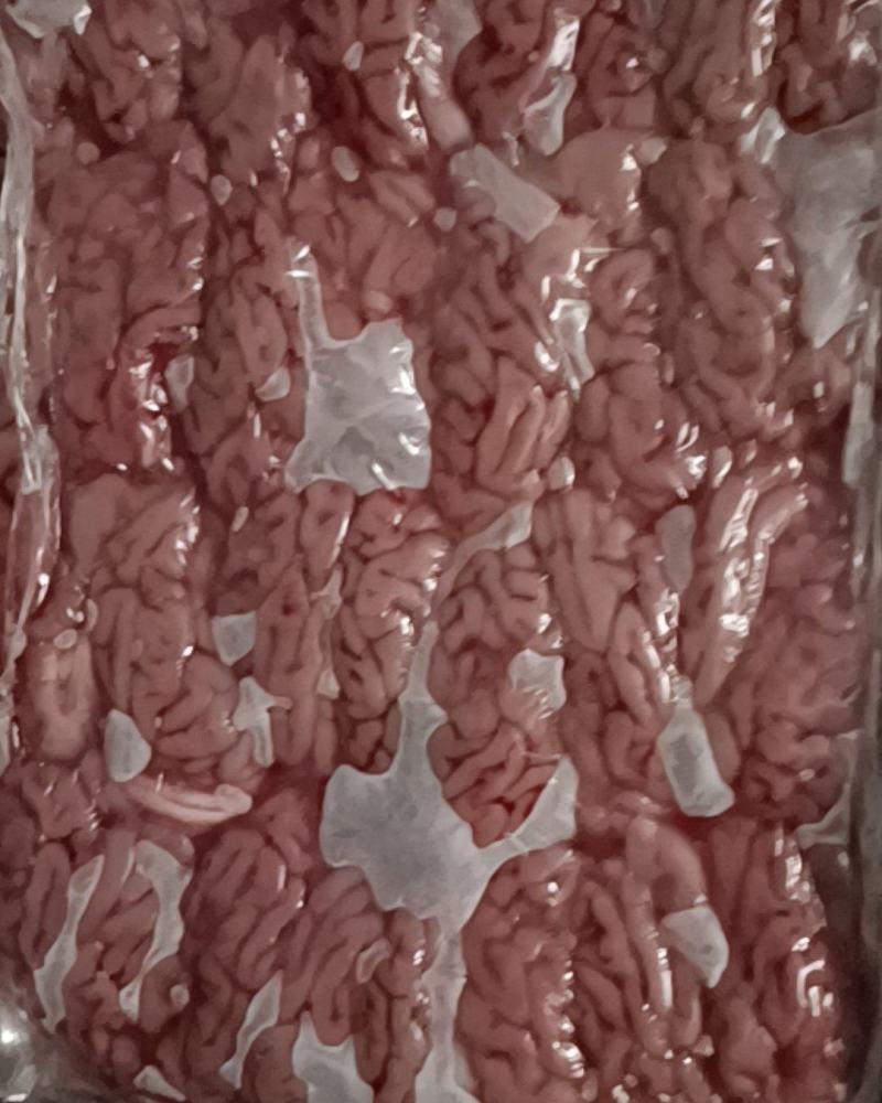 用质量说话，新鲜急冻猪脑以骨髓，需用的朋友可来电