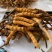2022年冬虫夏草高海拔鲜货整颗无断草