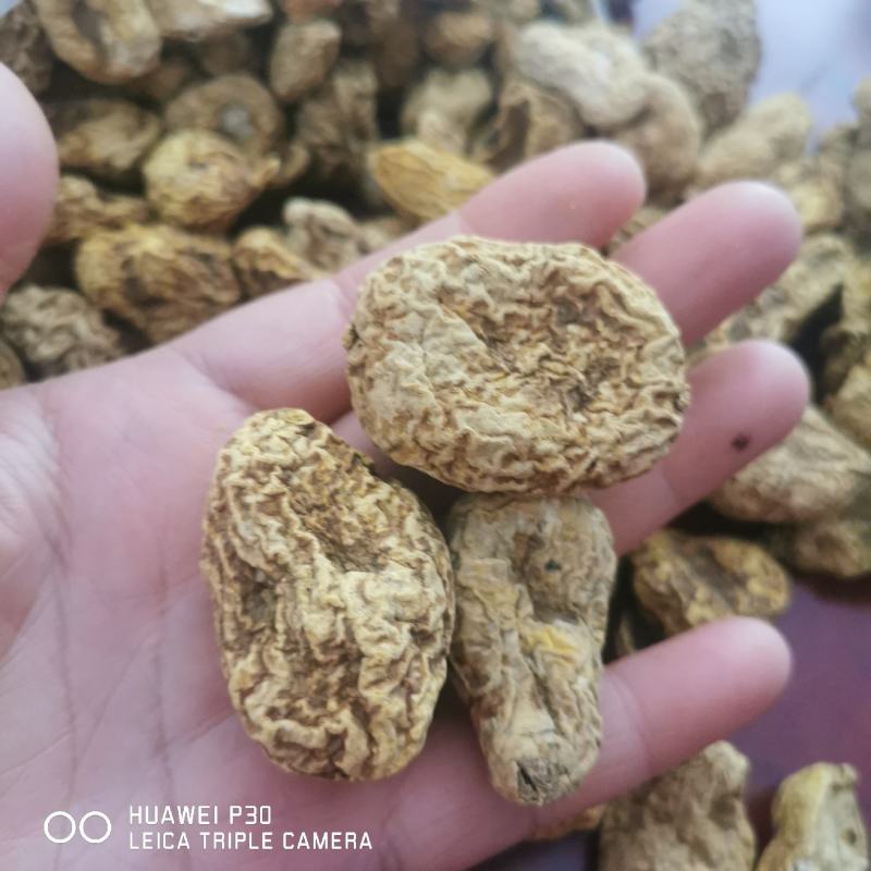 金果榄地苦胆包邮地道原药材产地直供量大从优