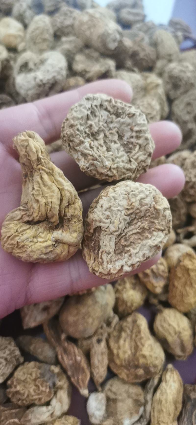 金果榄地苦胆包邮地道原药材产地直供量大从优