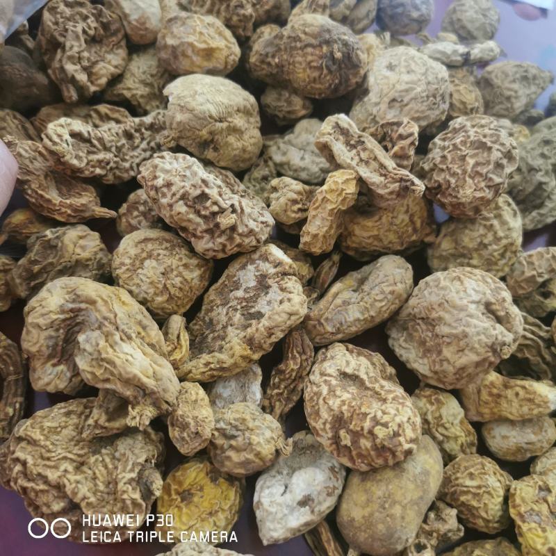 金果榄地苦胆包邮地道原药材产地直供量大从优