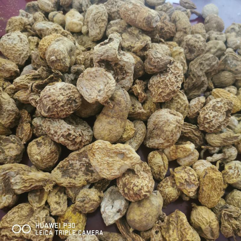 金果榄地苦胆包邮地道原药材产地直供量大从优