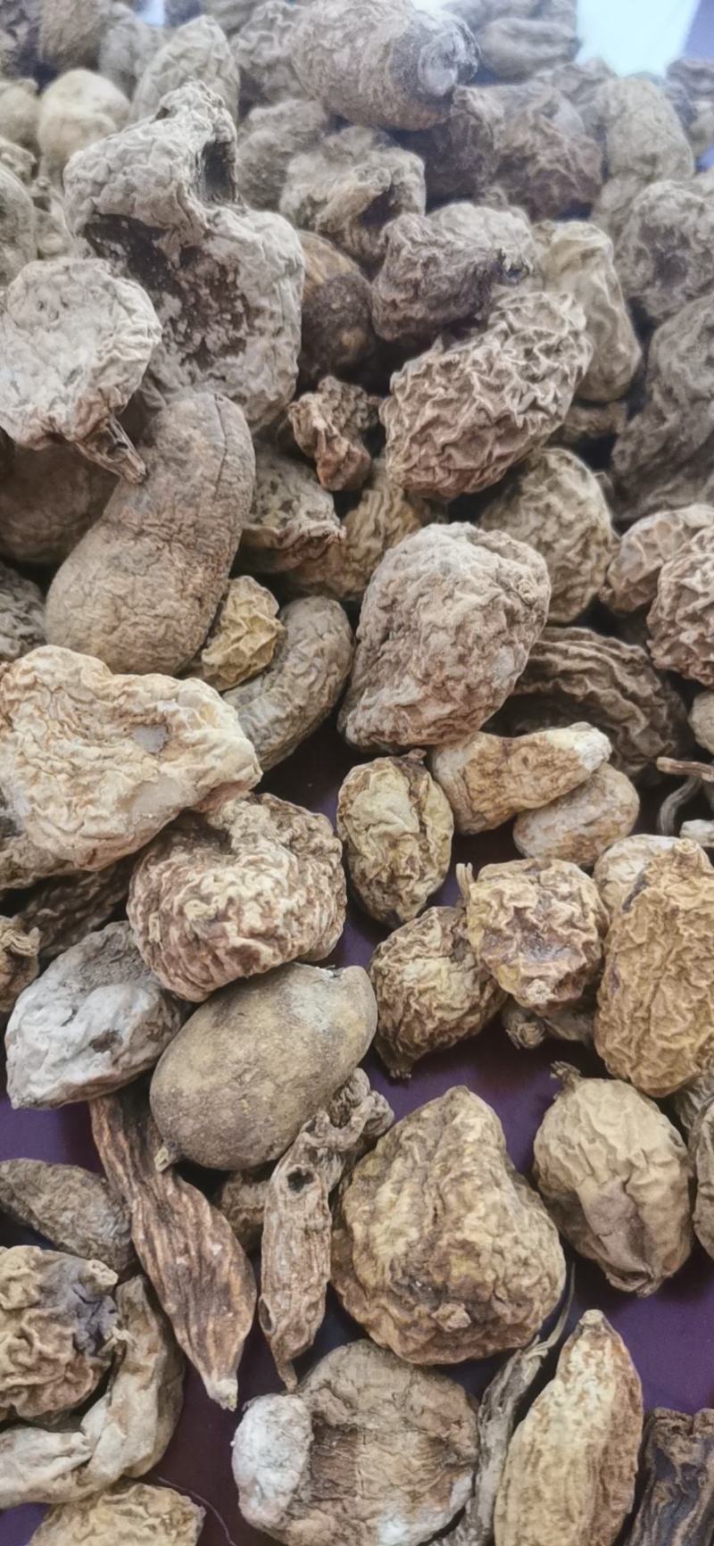 金果榄地苦胆包邮地道原药材产地直供量大从优