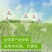 【老式手工】冰糖冬瓜条蔬果干老式传统冬瓜丁整箱超值包邮