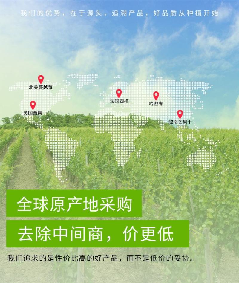 【老式手工】冰糖冬瓜条蔬果干老式传统冬瓜丁整箱超值包邮