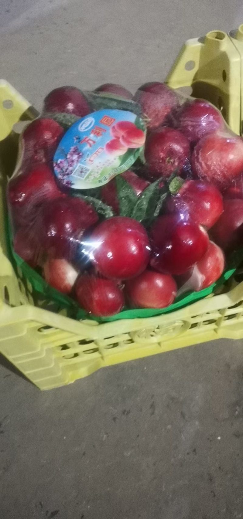 【推荐】河北精品油桃产地直供实力代办代发全国发货来电